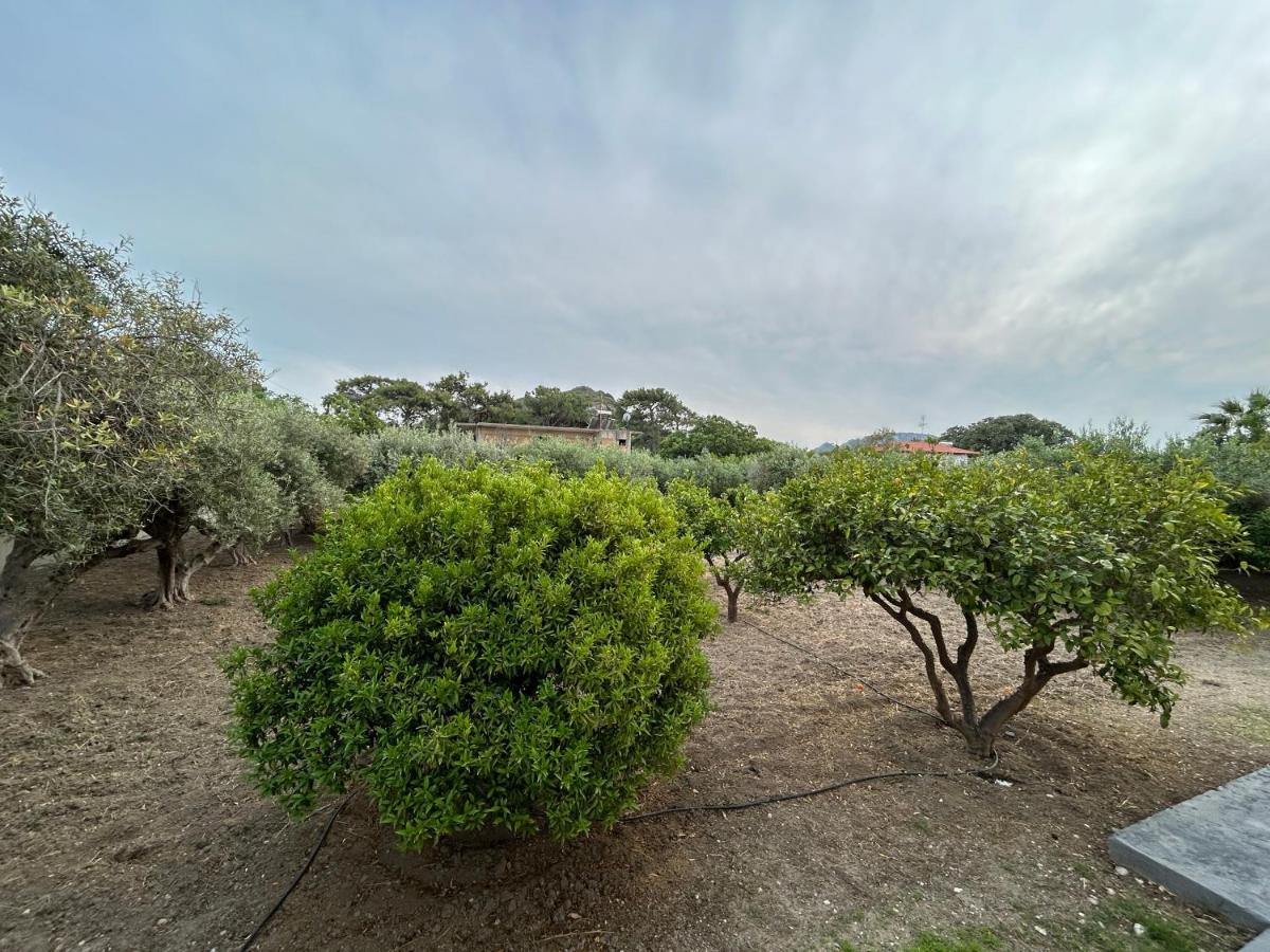 Lina'S Amazing House In Ialysos Villa Ixia  Exterior photo